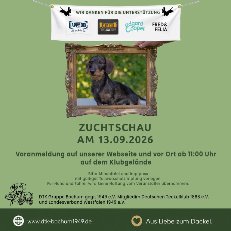 Teckeltreff und Ringtraining